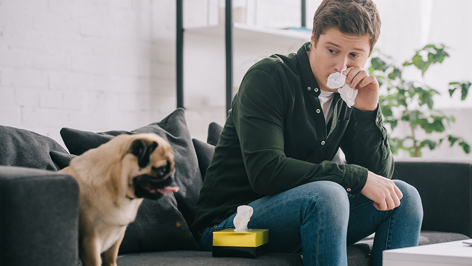 Purchasing an air purifier is one of the top approaches to improve your house’s indoor air quality. Learn more about the three top products. 